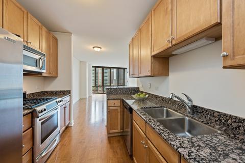 450 E Waterside Dr #810, Chicago, IL 60601 photo 4