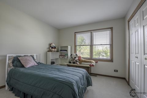 5202 Meadowbrook St, Plainfield, IL 60586 photo 14