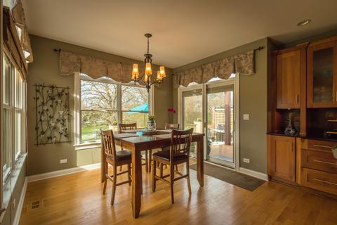 40 W 730 Stone Ridge Ct, Elgin, IL 60124 photo 29