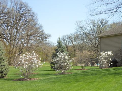 40 W 730 Stone Ridge Ct, Elgin, IL 60124 photo 61