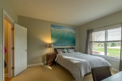 40 W 730 Stone Ridge Ct, Elgin, IL 60124 photo 44