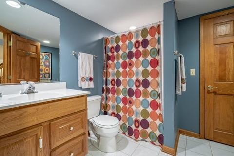 2 S543 White Birch Ln, Wheaton, IL 60189 photo 20