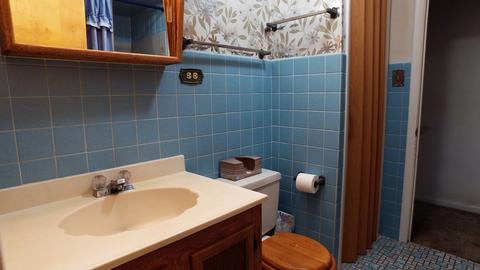 652 S 6th Ave, Des Plaines, IL 60016 photo 8