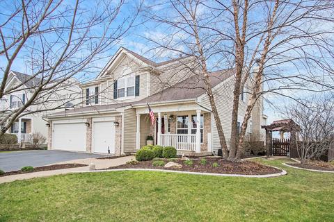 6111 Pheasant Ridge Dr, Plainfield, IL 60586 photo 1