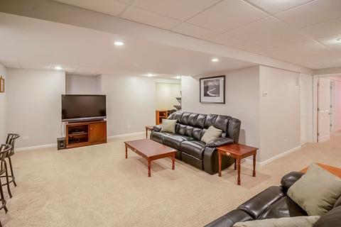 420 E Pine Meadow Ct, Morris, IL 60450 photo 29