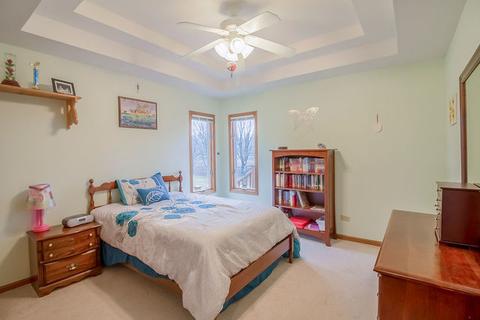 420 E Pine Meadow Ct, Morris, IL 60450 photo 20