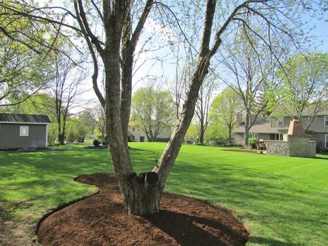 1225 Windy Knoll Dr, Algonquin, IL 60102 photo 31