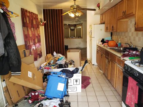 838 E 152nd St, Phoenix, IL 60426 photo 3