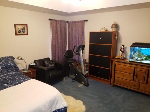 2821 Streitz Dr, Joliet, IL 60435 photo 9