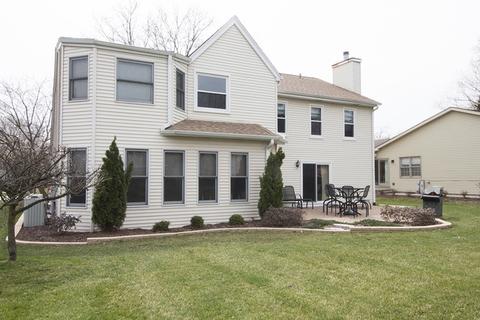 224 W Devon Ave, Roselle, IL 60172 photo 38
