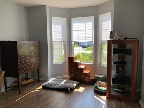 25358 Spring St, Manhattan, IL 60442 photo 23