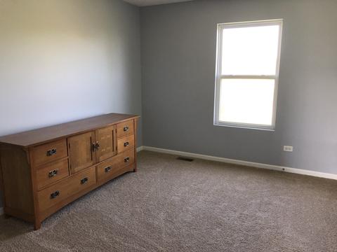25358 Spring St, Manhattan, IL 60442 photo 34