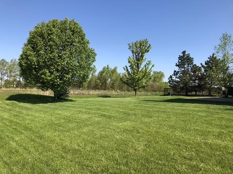 25358 Spring St, Manhattan, IL 60442 photo 3