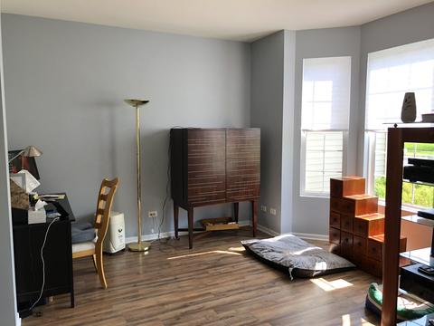 25358 Spring St, Manhattan, IL 60442 photo 22