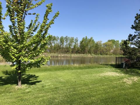 25358 Spring St, Manhattan, IL 60442 photo 9