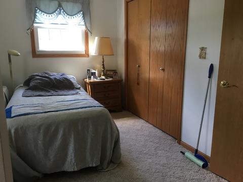 319 Wilmac St, Dwight, IL 60420 photo 10