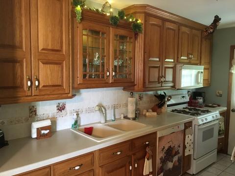 319 Wilmac St, Dwight, IL 60420 photo 6