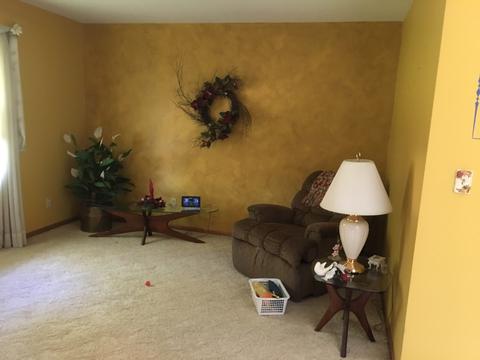 319 Wilmac St, Dwight, IL 60420 photo 8