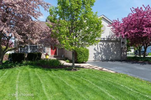 24137 Primrose Cir, Plainfield, IL 60585 photo 2