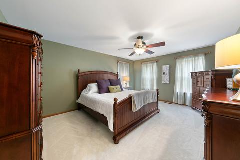 12955 Cathy Ln, Plainfield, IL 60585 photo 19