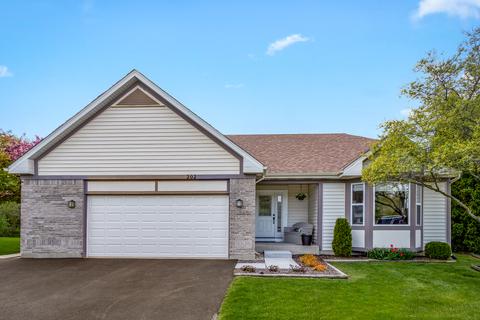 202 Switchgrass Dr, Round Lake, IL 60073 photo 1