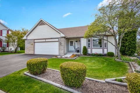 202 Switchgrass Dr, Round Lake, IL 60073 photo 2