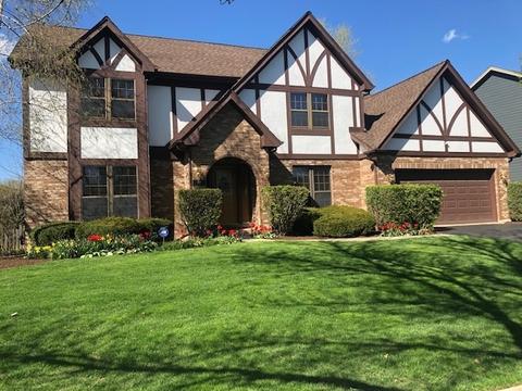 528 Flock Ave, Naperville, IL 60565 photo 1