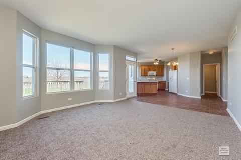 341 Aster Dr, Minooka, IL 60447 photo 12