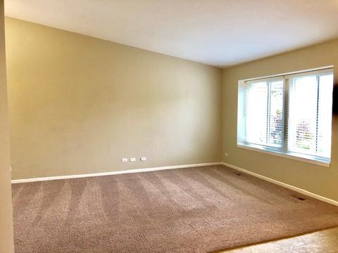 1317 Burns Dr, Elgin, IL 60120 photo 11