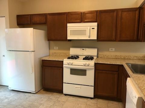 1317 Burns Dr, Elgin, IL 60120 photo 12