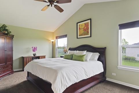 25415 Pavilion Pl, Plainfield, IL 60585 photo 10