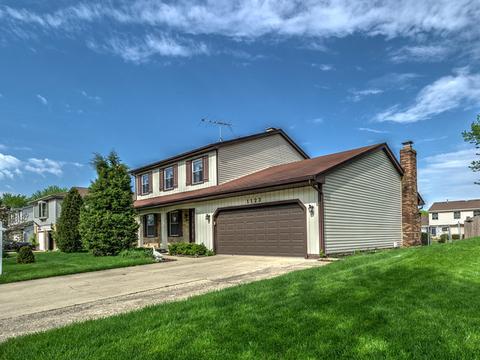 1123 Monroe Dr, Bartlett, IL 60103 photo 3