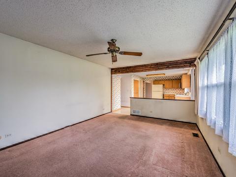 1123 Monroe Dr, Bartlett, IL 60103 photo 12