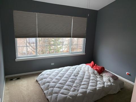 5 Shade Tree Ct, Algonquin, IL 60102 photo 8