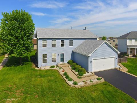 625 Brita Ct, Minooka, IL 60447 photo 1