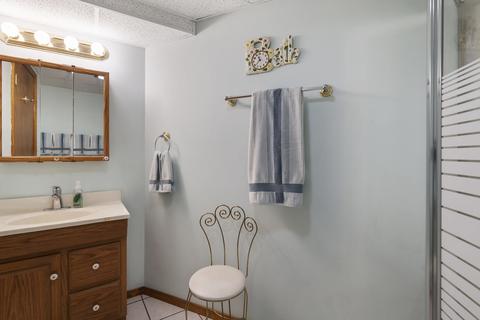 21745 W Halifax Dr, Plainfield, IL 60544 photo 22