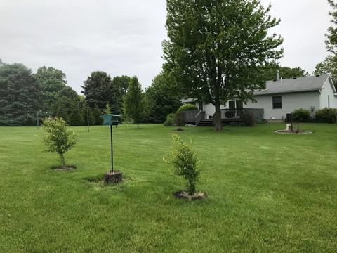 607 E Main St, Danvers, IL 61732 photo 26