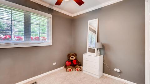 590 Western St, Hoffman Estates, IL 60169 photo 19