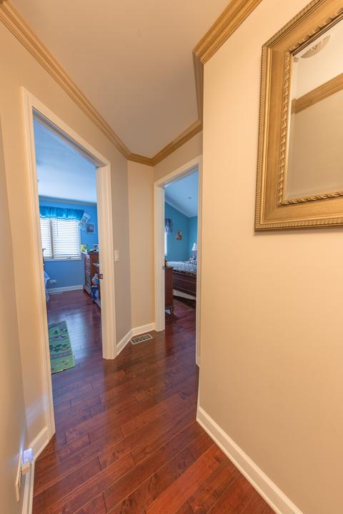 1060 Marshall Dr, Des Plaines, IL 60016 photo 8
