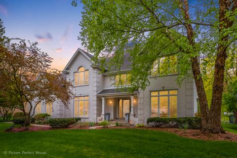 1732 Robert Ln, Naperville, IL 60564 photo 1