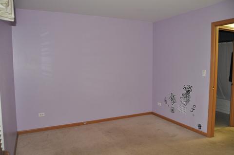 2318 Carpenter Ave, Plainfield, IL 60586 photo 23