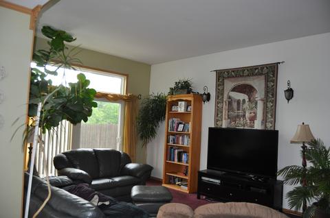 2318 Carpenter Ave, Plainfield, IL 60586 photo 9