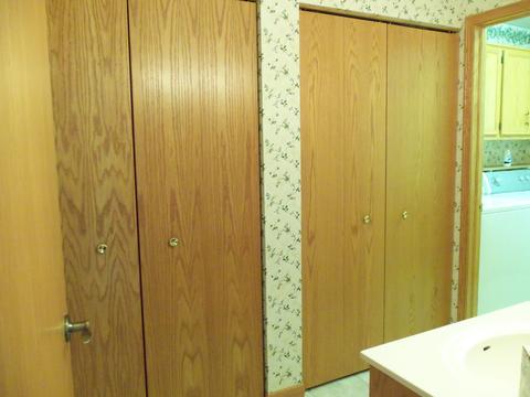 1156 Edgewater Dr, Morris, IL 60450 photo 21