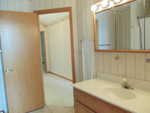 1156 Edgewater Dr, Morris, IL 60450 photo 11