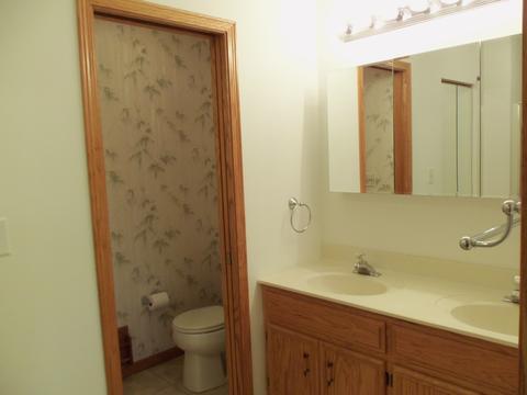 1156 Edgewater Dr, Morris, IL 60450 photo 19