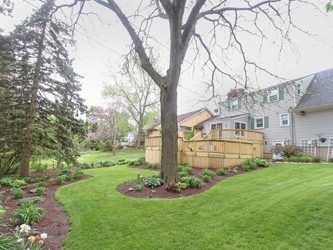 313 N Commonwealth Ave, Elgin, IL 60123 photo 21