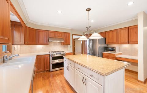 340 W Devon Ave, Roselle, IL 60172 photo 3