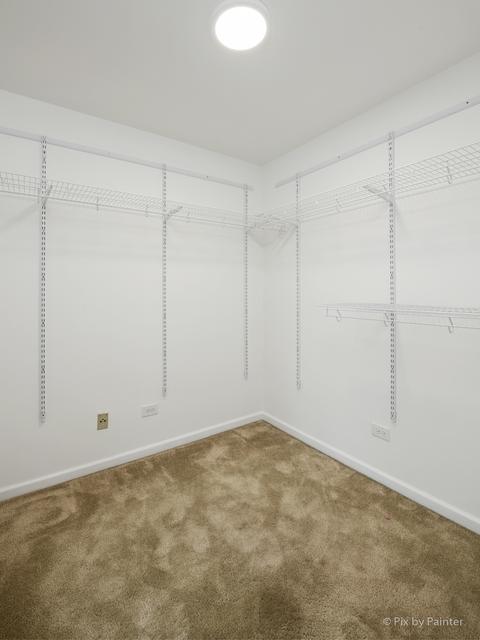 340 W Devon Ave, Roselle, IL 60172 photo 24