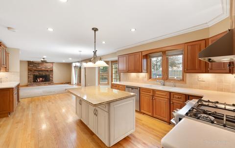 340 W Devon Ave, Roselle, IL 60172 photo 5