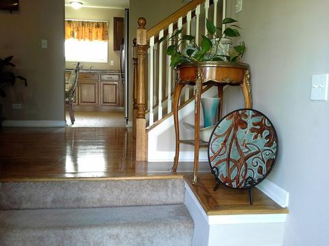 218 Pheasant Rd, Matteson, IL 60443 photo 3